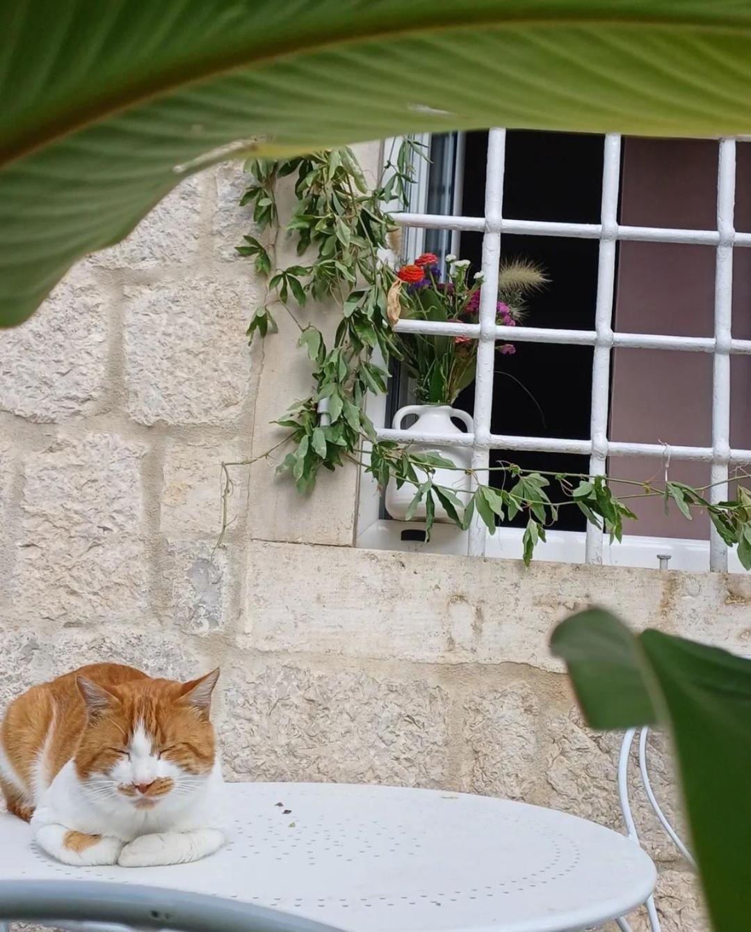 Apartments Visit פראסט מראה חיצוני תמונה