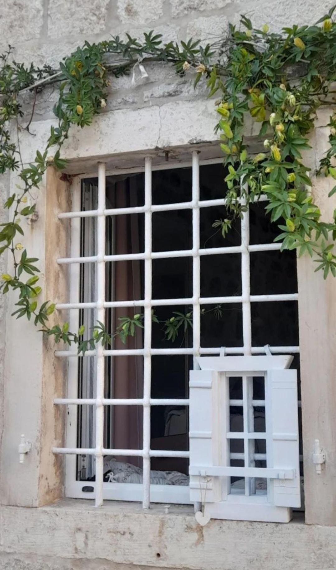 Apartments Visit פראסט מראה חיצוני תמונה
